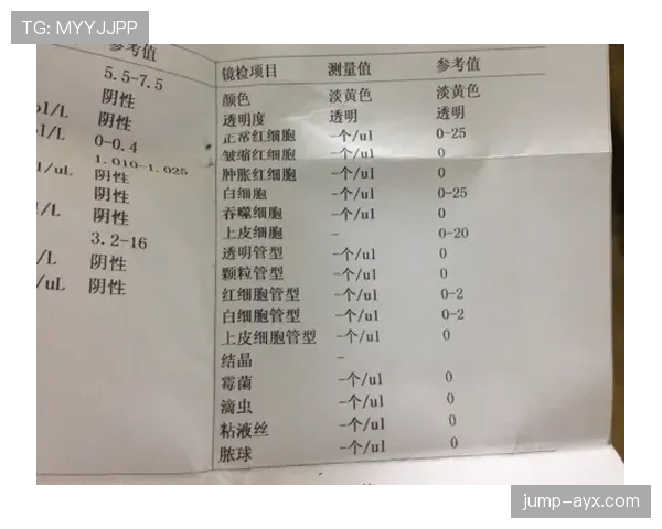 陈艺文的冰箱跟我工资条明显不是同一个星球